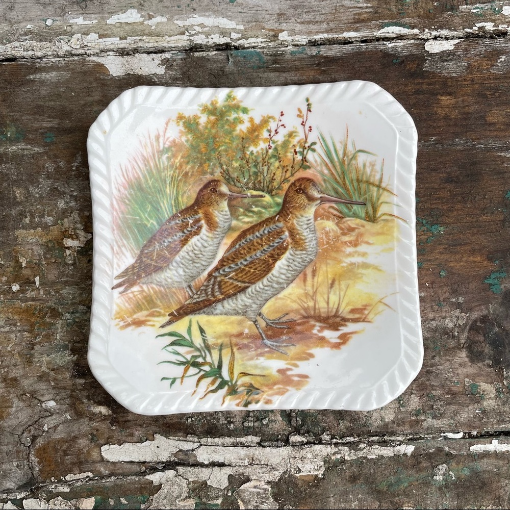 Royal Adderley white bone china floral small tray birds
